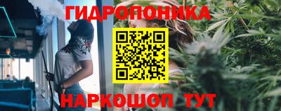 прущие грибы Кумертау