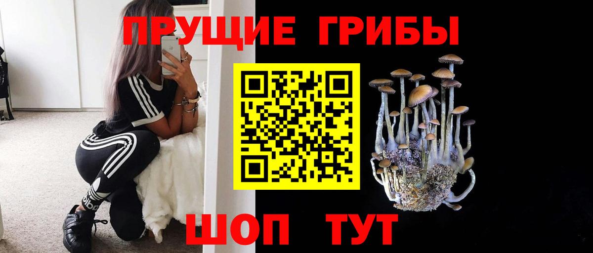 Псилоцибиновые грибы ЛСД Конаково