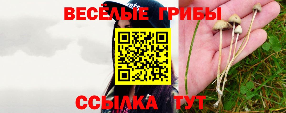 Галлюциногенные грибы мицелий  где можно купить наркотик  Галлюциногенные грибы GOLDEN TEACHER  Конаково  Вход с VPN 